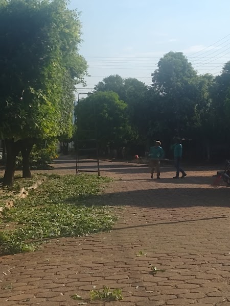 MR.Podas sobre podas