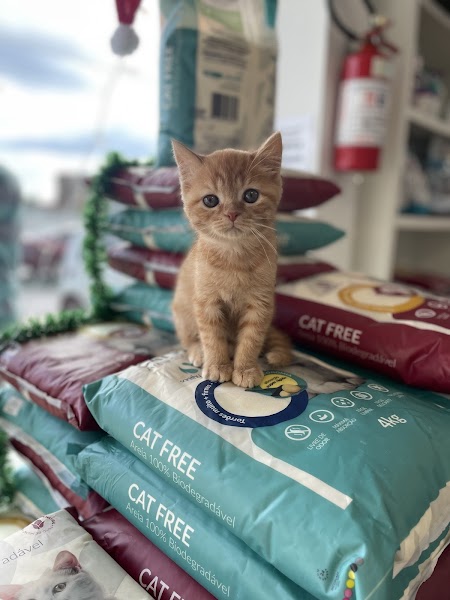 VetCura Centro Veterinário e Estética Animal