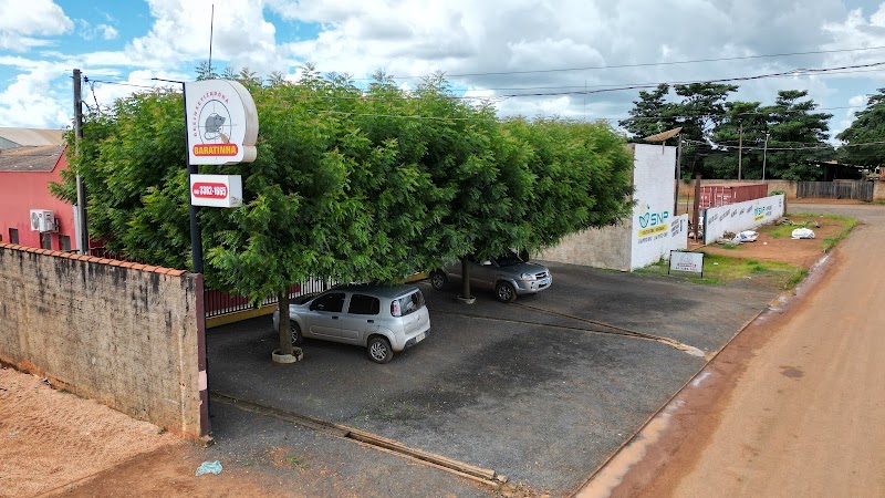 Baratinha Desinsetizadora