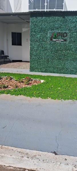 Apio Agro - Soluções Agropecuárias