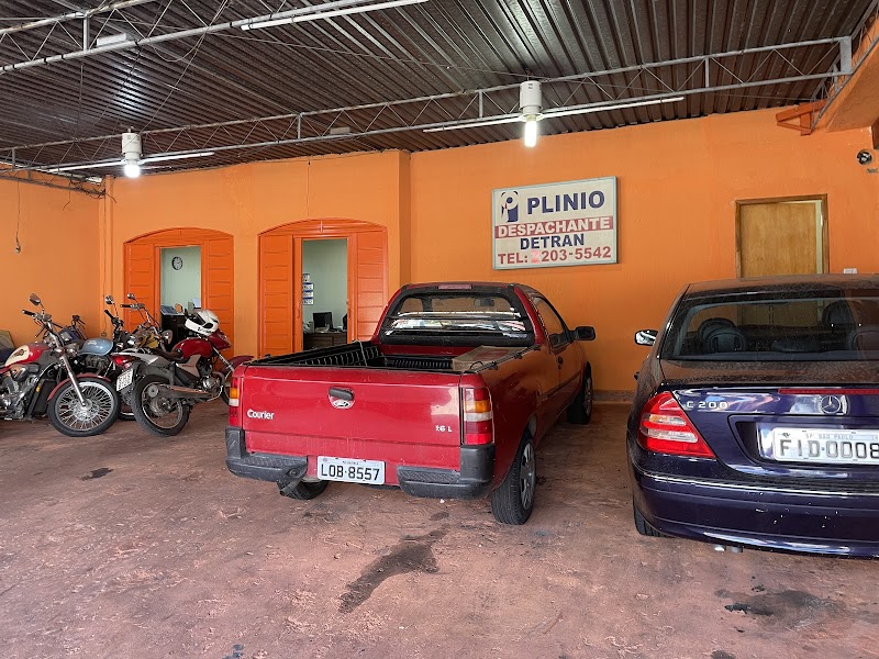 Plinio Despachante e Advogado