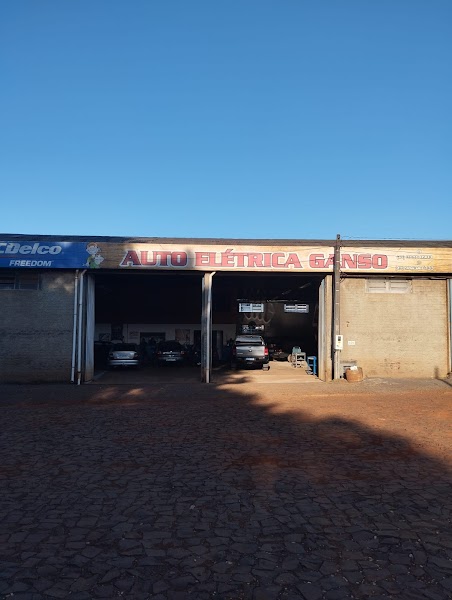 Auto Elétrica Ganso