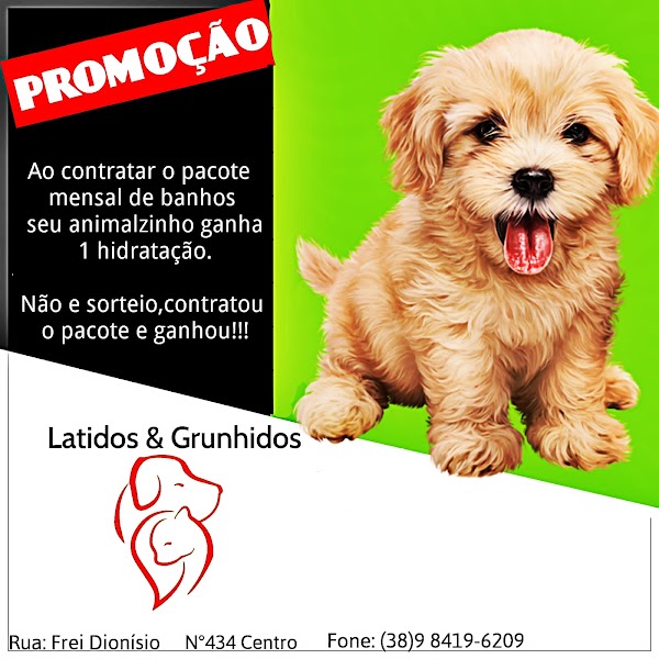 Pet Shop Latidos & Grunhidos