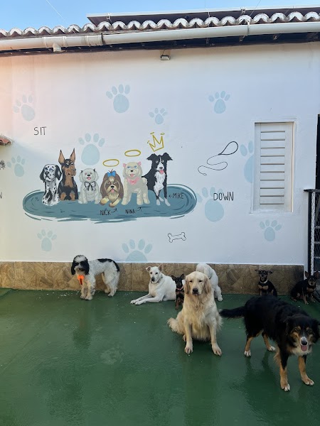 Bruno Matoso Adestradog