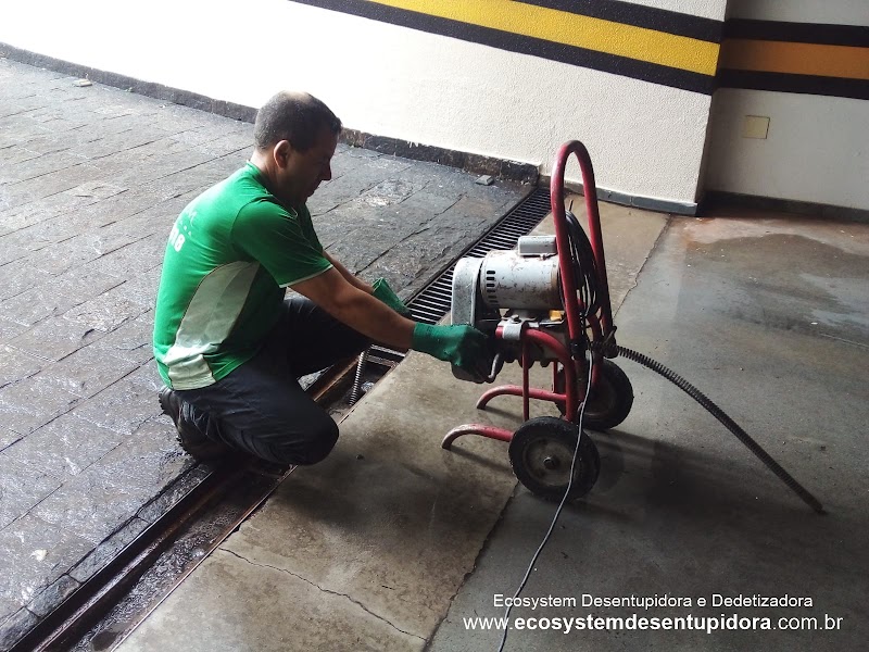 Desentupidora e Dedetizadora Ecosystem