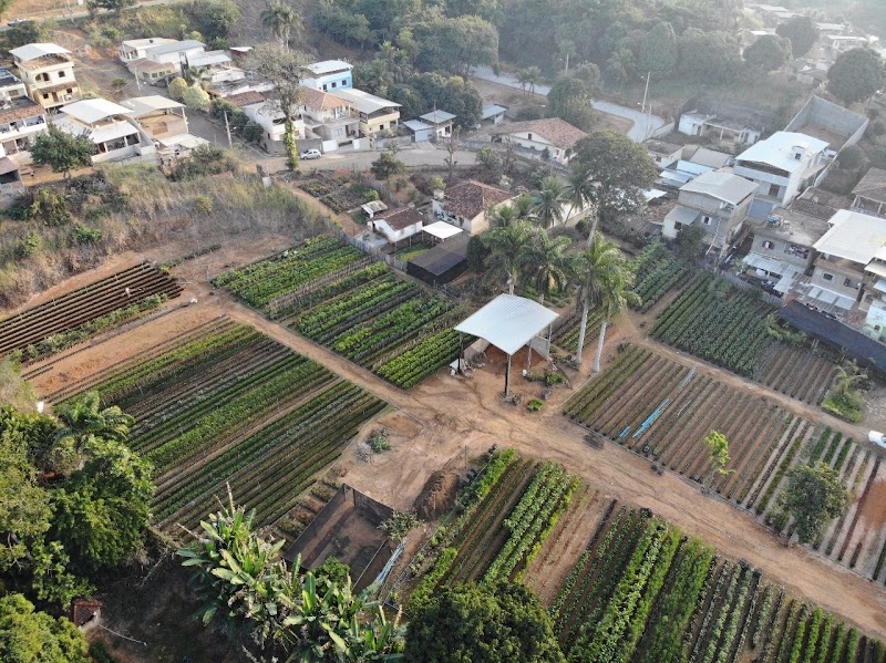 Plantas Dona Euzébia