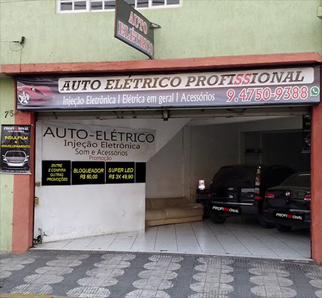 Profissional Auto Elétrica